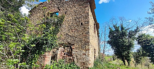 Foto Rustico a Riparbella di 260 m² con 10 locali in vendita