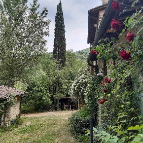 Foto Rustico a Vicchio di 295 m² con 9 locali in vendita