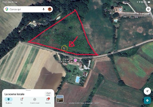 immagine annuncio 6 di 7