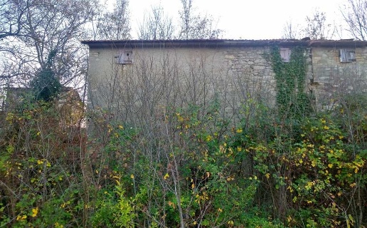 immagine annuncio 3 di 6