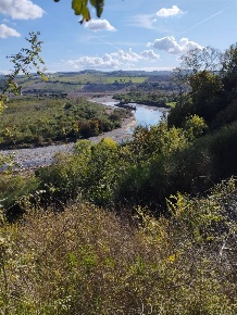 Foto Rustico a Scansano di 160 m² con 6 locali in vendita