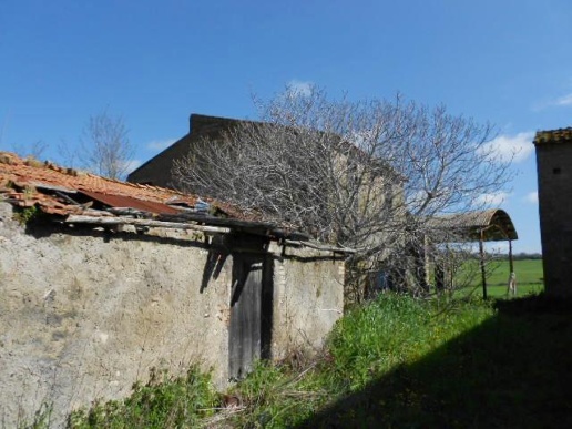 immagine annuncio 1 di 14