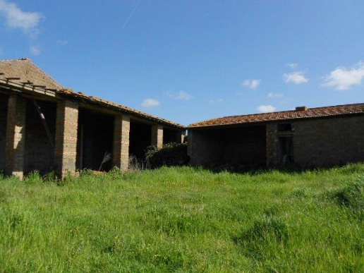 immagine annuncio 10 di 14