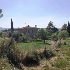 Foto Rustico a Pienza Centro di 260 m² con 16 locali in vendita