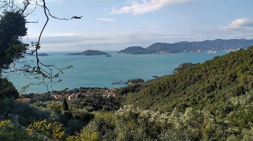immagine annuncio 3 di 8