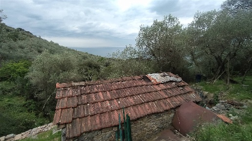 immagine annuncio 4 di 8