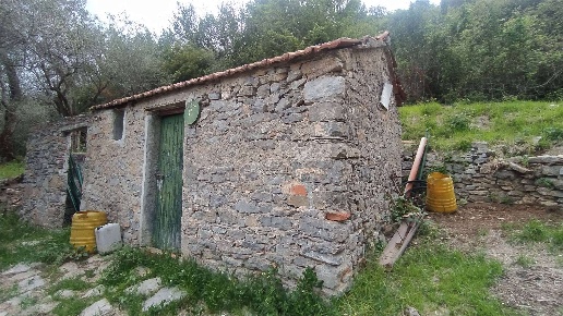 immagine annuncio 5 di 8