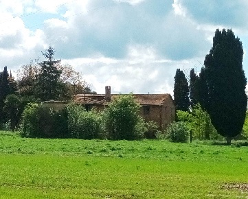 Foto Rustico a Cetona di 370 m² con 11 locali in vendita