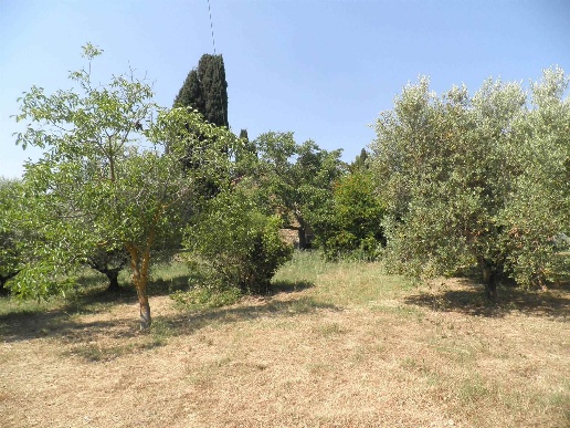 immagine annuncio 4 di 7