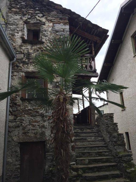 immagine annuncio 1 di 7