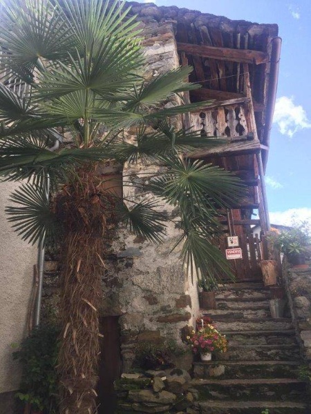 immagine annuncio 3 di 7