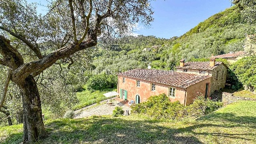 Foto Rustico in Via Torre snc, Lucca Mutigliano - Torre di 400 m²