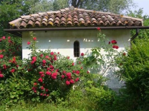 immagine annuncio 4 di 13