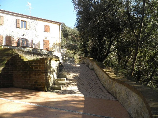 immagine annuncio 9 di 14