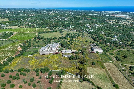 Foto Rustico in Contrada Cozzana, Monopoli Cozzana di 5519 m² con 20 locali