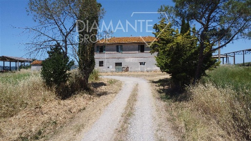 Foto Rustico a Castiglione d'Orcia Centro di 1260 m² con 12 locali