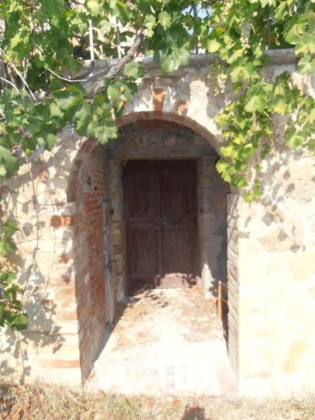 immagine annuncio 4 di 14