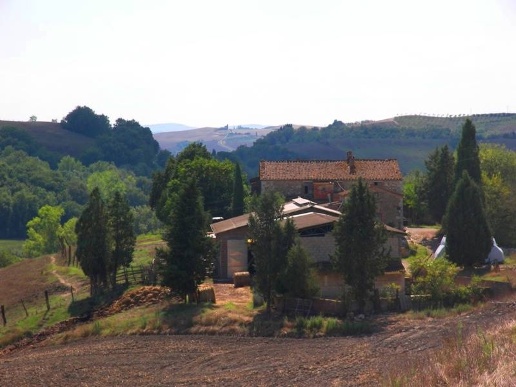 immagine annuncio 6 di 8