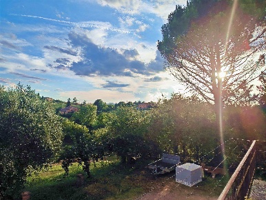 Foto Rustico in strada di fogliano 8, Siena di 127 m² con 11 locali