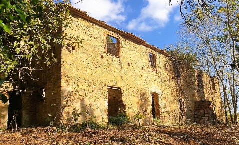 Foto Rustico a Riparbella di 350 m² con 10 locali in vendita