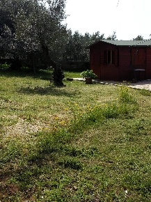 Foto Rustico a Terrasini di 30 m² con 1 locali in vendita