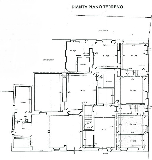 immagine annuncio 4 di 7