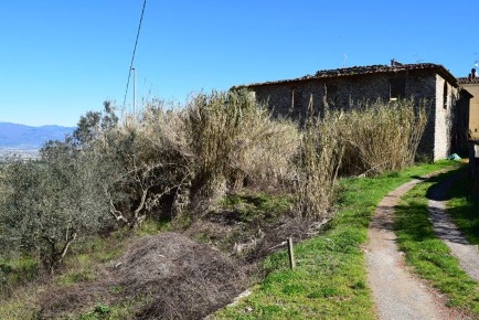 Foto Rustico a Quarrata di 600 m² con 10 locali in vendita