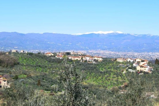 immagine annuncio 6 di 9