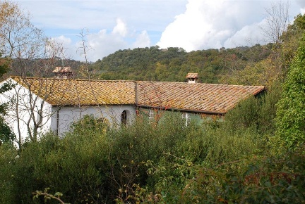 Foto Rustico a Scansano di 460 m² con 13 locali in vendita