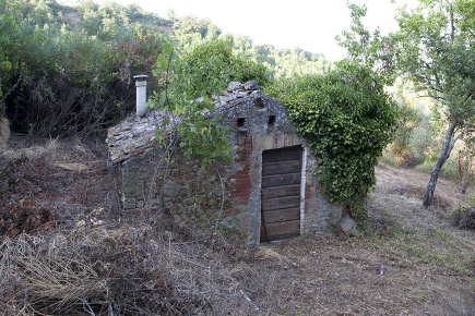 Foto Rustico a Chiusdino Centro di 100 m² con 9 locali in vendita