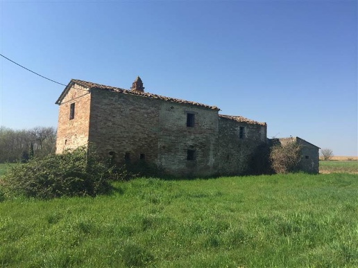 immagine annuncio 1 di 4