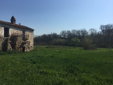 Foto Rustico a Cortona Pietraia di 200 m² con 8 locali in vendita