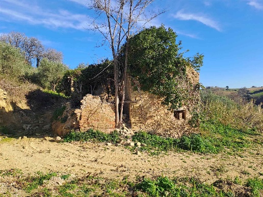 immagine annuncio 1 di 7