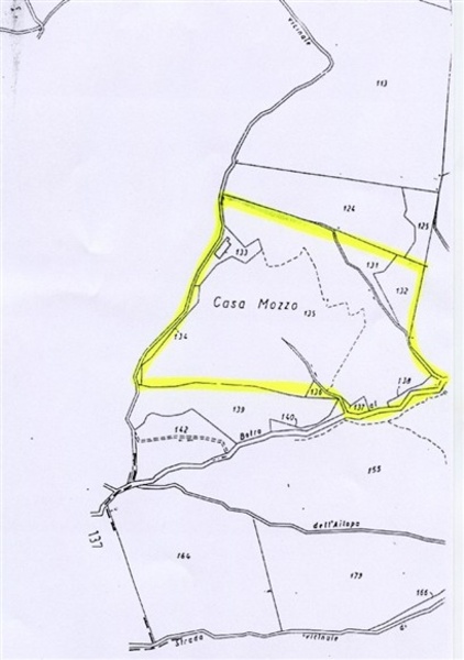 immagine annuncio 13 di 15