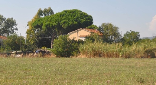 Foto Rustico in località Polveroni, Rosignano Marittimo Rosignano Solvay