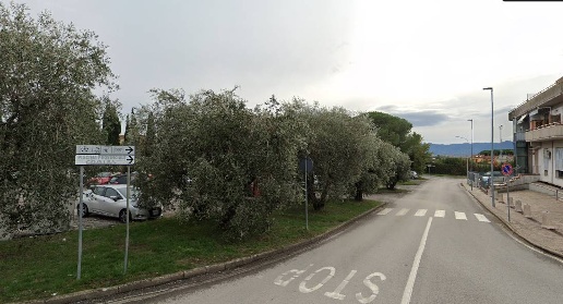 immagine annuncio 7 di 12
