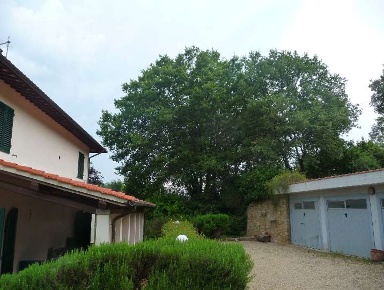Foto Rustico a Loro Ciuffenna Centro di 250 m² con 7 locali in vendita