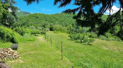 immagine annuncio 9 di 15