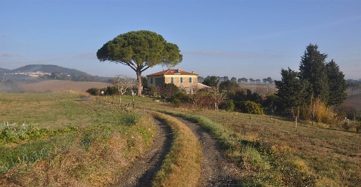 Foto Rustico in Strada Traversa livornese, Rosignano Marittimo di 120 m²