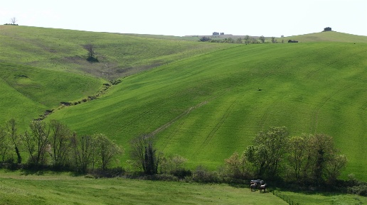 Foto Rustico a Tuscania di 210 m² con 8 locali in vendita
