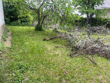 Foto Rustico a Certaldo Canonica di 256 m² con 12 locali in vendita