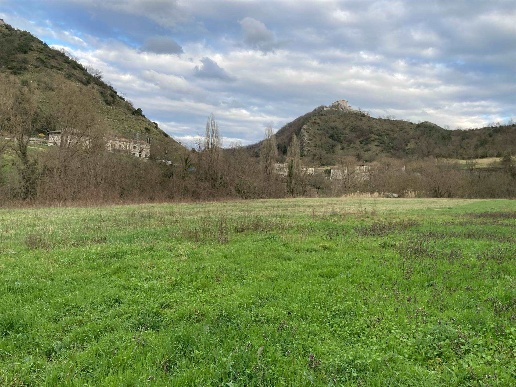 immagine annuncio 6 di 12