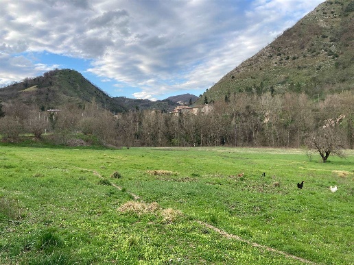 immagine annuncio 8 di 12