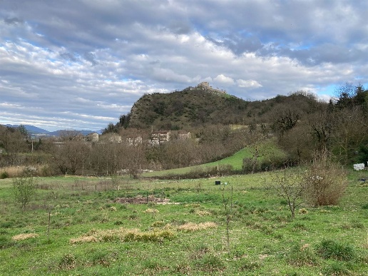 immagine annuncio 10 di 12