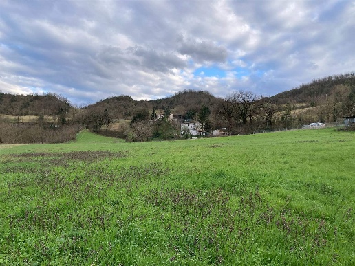 immagine annuncio 11 di 12