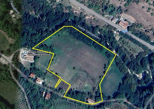 immagine annuncio 1 di 12