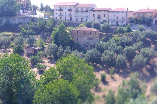 immagine annuncio 7 di 9