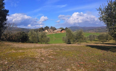 Foto Rustico in Strada Val di Lopia, Riparbella di 460 m² con 1 locali