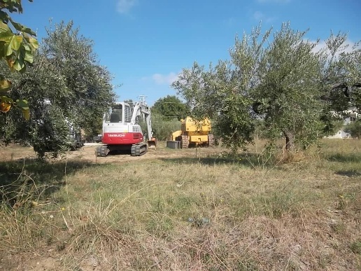 immagine annuncio 8 di 15