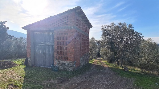 immagine annuncio 6 di 13